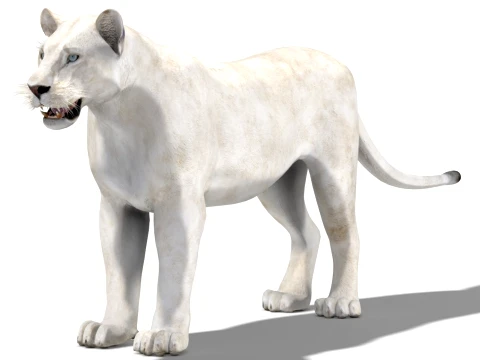 White Lioness - Low-Poly 3D Model