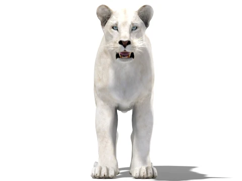 White Lioness - Low-Poly 3D Model