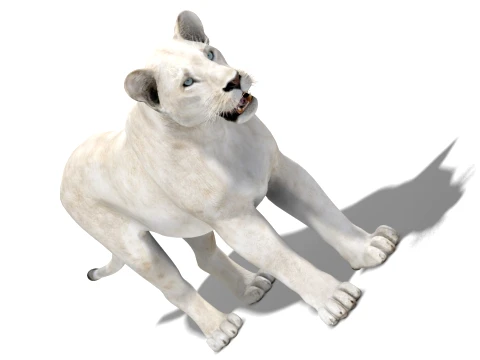 White Lioness - Low-Poly 3D Model