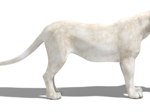 White Lioness - Low-Poly 3D Model