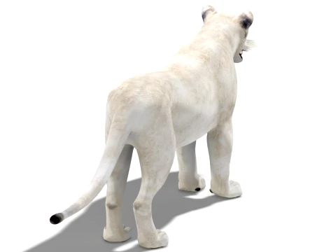 White Lioness - Low-Poly 3D Model