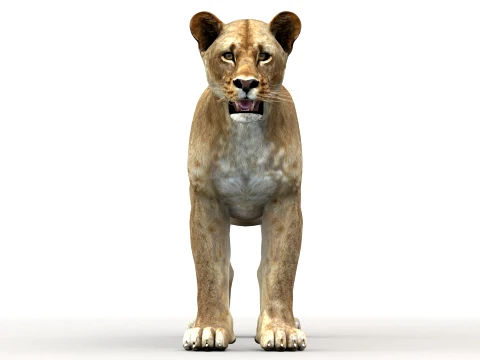 Rigged Lioness - Low-Poly 3D Model