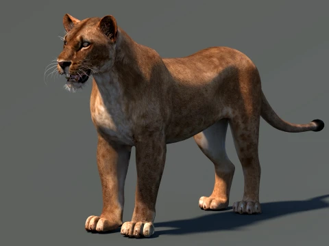 Lioness Low-Poly and Game-Ready 3D Model