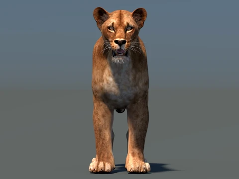 Lioness Low-Poly and Game-Ready 3D Model