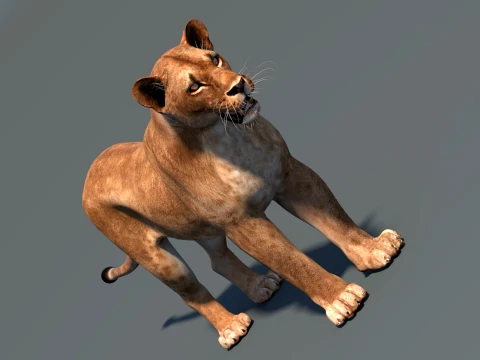 Lioness Low-Poly and Game-Ready 3D Model