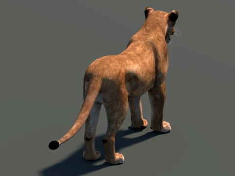 Lioness Low-Poly and Game-Ready 3D Model