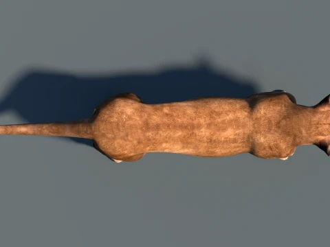 Lioness Low-Poly and Game-Ready 3D Model