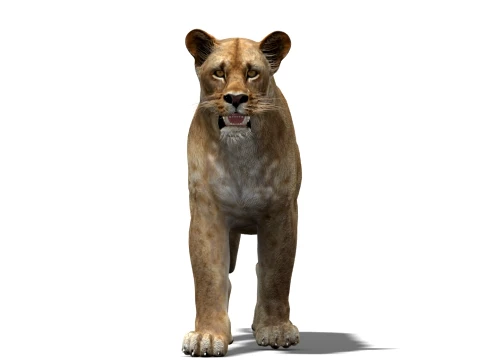 Animated Lioness - Low-Poly 3D Model