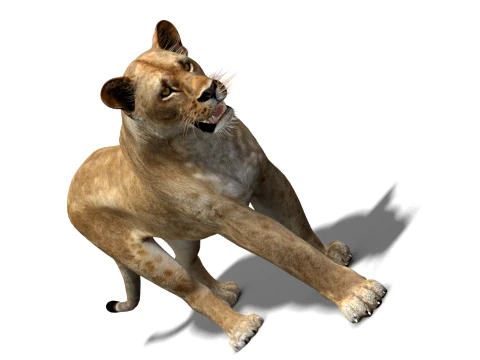 Animated Lioness - Low-Poly 3D Model
