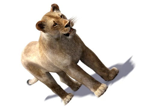 Low-Poly Lioness - Hair and Fur 3D Model