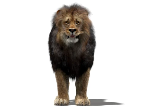Lion - Hair and Fur Low-Poly 3D Model