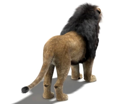 Lion - Hair and Fur Low-Poly 3D Model