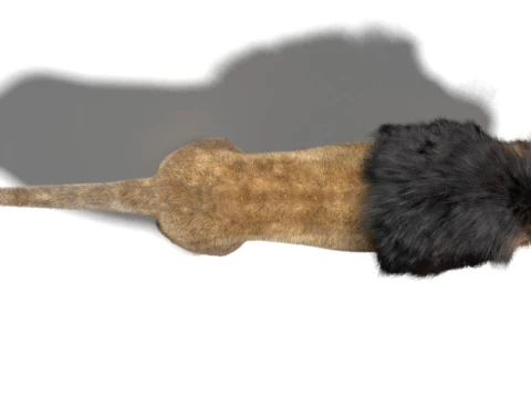Lion - Hair and Fur Low-Poly 3D Model