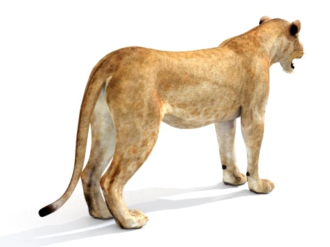 Game-Ready Lioness 3D Model