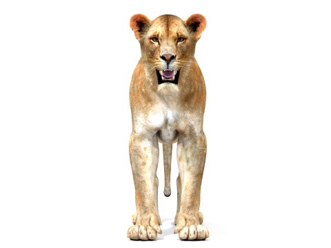 Game-Ready Lioness 3D Model