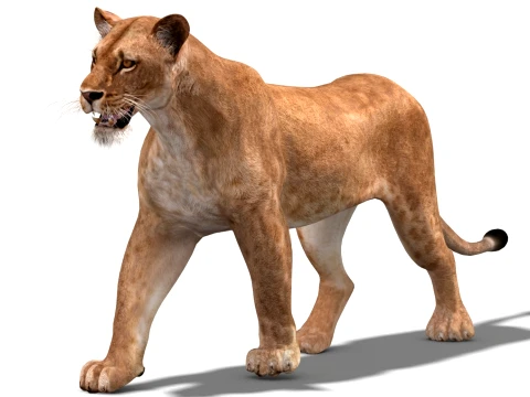 Animated Lioness - Low-Poly Game-Ready 3D Model