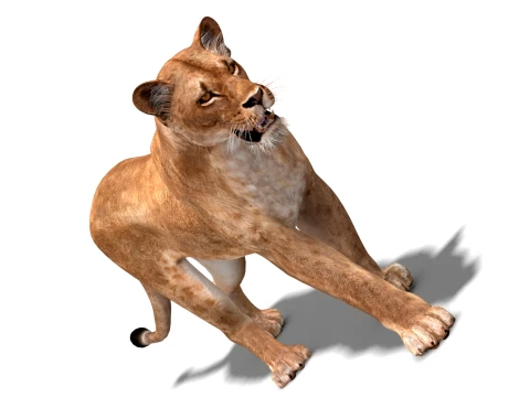 Animated Lioness - Low-Poly Game-Ready 3D Model