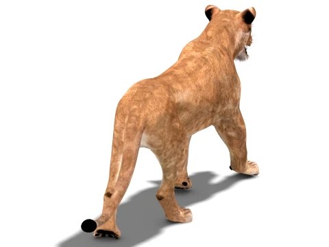 Animated Lioness - Low-Poly Game-Ready 3D Model