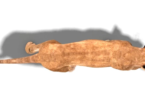 Animated Lioness - Low-Poly Game-Ready 3D Model