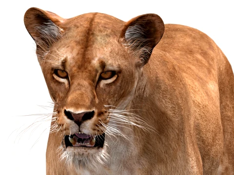 Animated Lioness - Low-Poly Game-Ready 3D Model