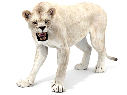 Rigged White Lioness - Game-Ready 3D Model