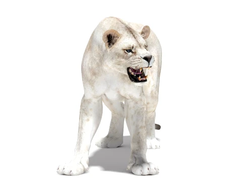 Rigged White Lioness - Game-Ready 3D Model