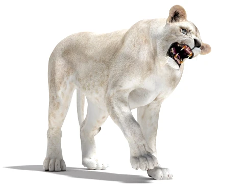 Rigged White Lioness - Game-Ready 3D Model