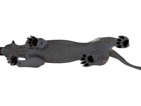 Rigged White Lioness - Game-Ready 3D Model