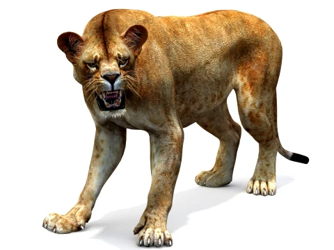 Rigged Lioness - Game-Ready Realistic 3D Model
