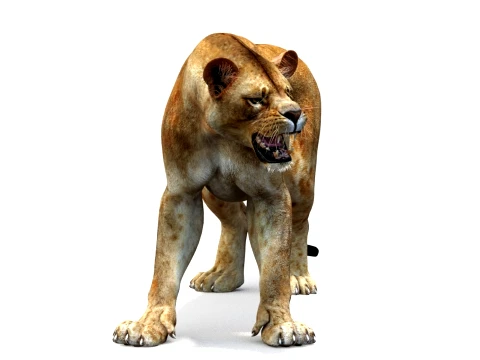 Rigged Lioness - Game-Ready Realistic 3D Model