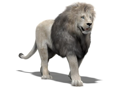 Animated White Lion - Hair and Fur Low-Poly 3D Model