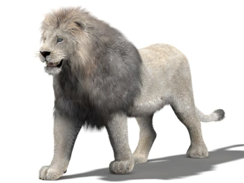 Animated White Lion - Hair and Fur Low-Poly 3D Model