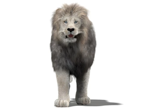 Animated White Lion - Hair and Fur Low-Poly 3D Model