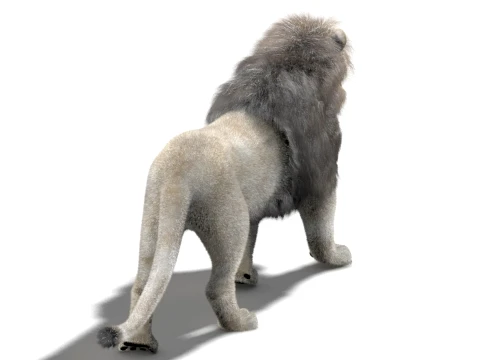 Animated White Lion - Hair and Fur Low-Poly 3D Model