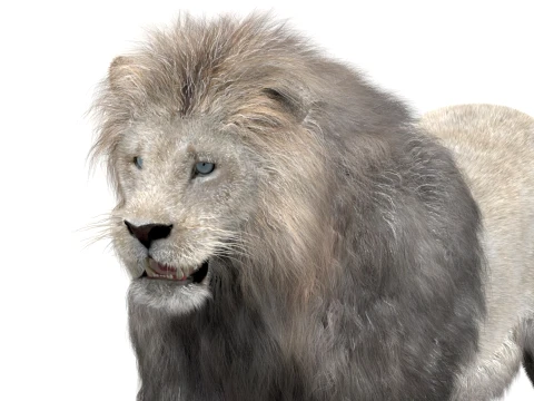 Animated White Lion - Hair and Fur Low-Poly 3D Model