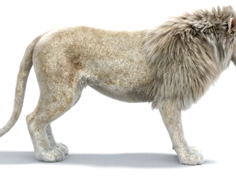 White Lion - Hair and Fur 3D Model