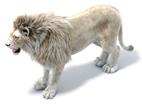 White Lion - Hair and Fur 3D Model