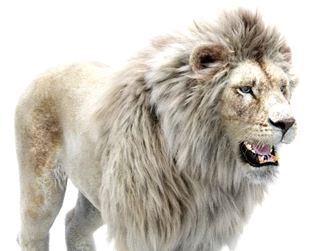 White Lion - Hair and Fur 3D Model