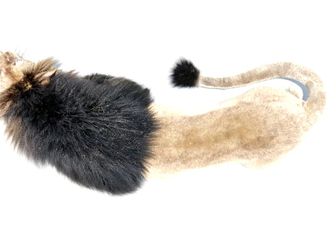 Animated Lion - Hair and Fur Low-Poly 3D Model