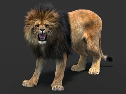 Rigged Lion - Hair and Fur 3D Model