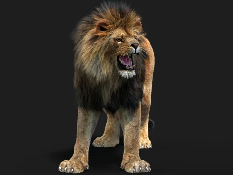 Rigged Lion - Hair and Fur 3D Model