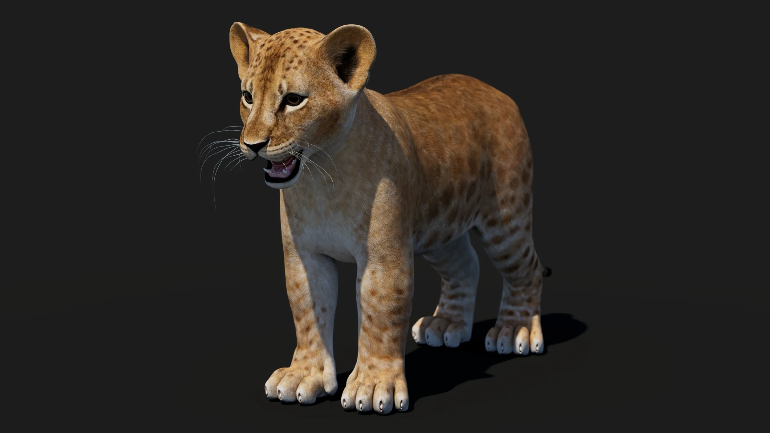 Game-Ready Lion Cub 3D Model .c4d .max .obj .3ds .fbx .stl .blend 