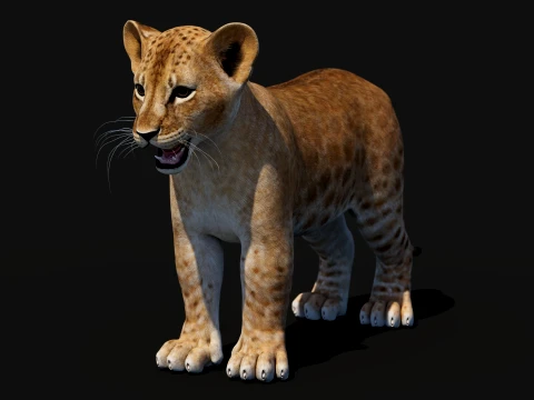Game-Ready Lion Cub 3D Model
