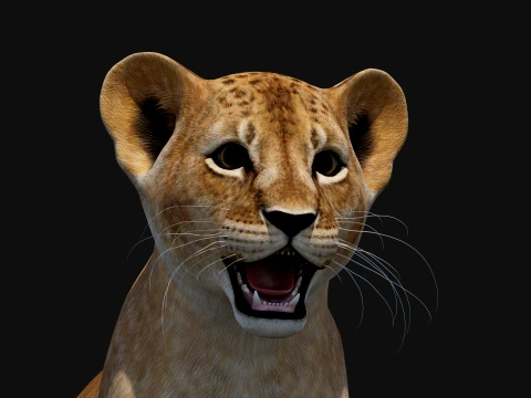 Game-Ready Lion Cub 3D Model