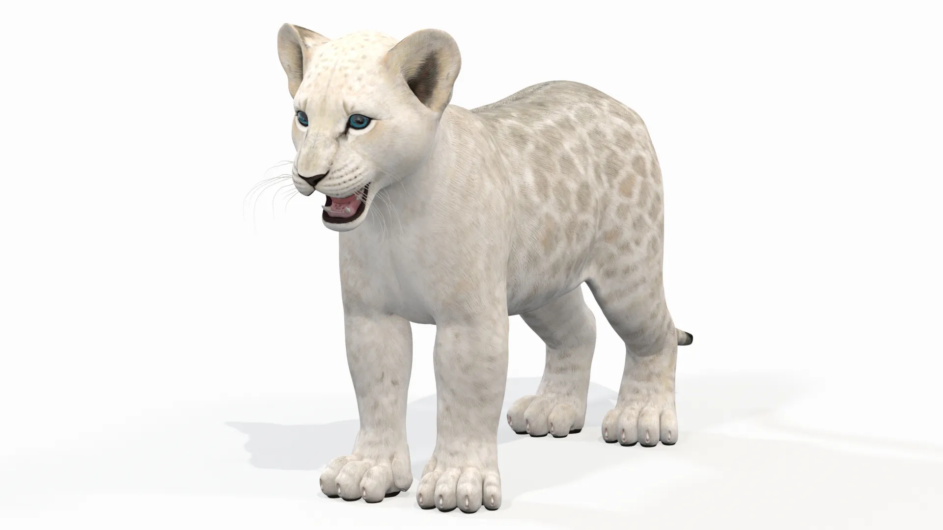 White Lion Cub - Game-Ready 3D Model .c4d .max .obj .3ds .fbx .stl .blend 