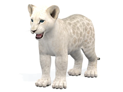White Lion Cub - Game-Ready 3D Model