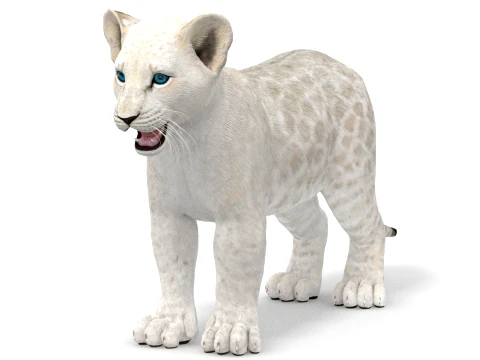 White Lion Cub - Game-Ready 3D Model