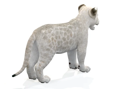 White Lion Cub - Game-Ready 3D Model