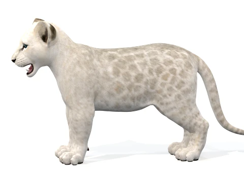 White Lion Cub - Game-Ready 3D Model