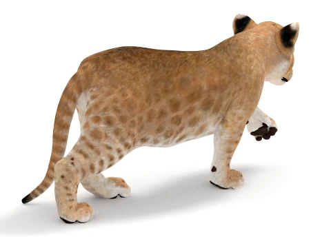 Rigged Lion Cub - Game-Ready 3D Model